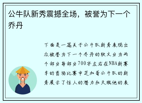 公牛队新秀震撼全场，被誉为下一个乔丹