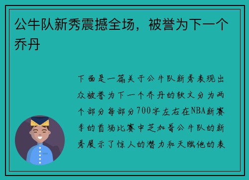 公牛队新秀震撼全场，被誉为下一个乔丹