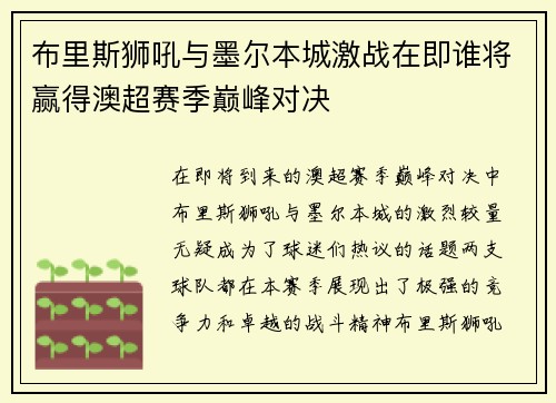 布里斯狮吼与墨尔本城激战在即谁将赢得澳超赛季巅峰对决