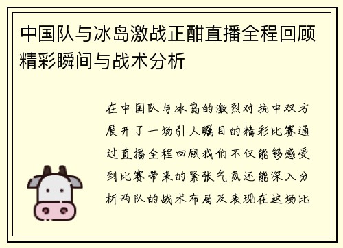 中国队与冰岛激战正酣直播全程回顾精彩瞬间与战术分析